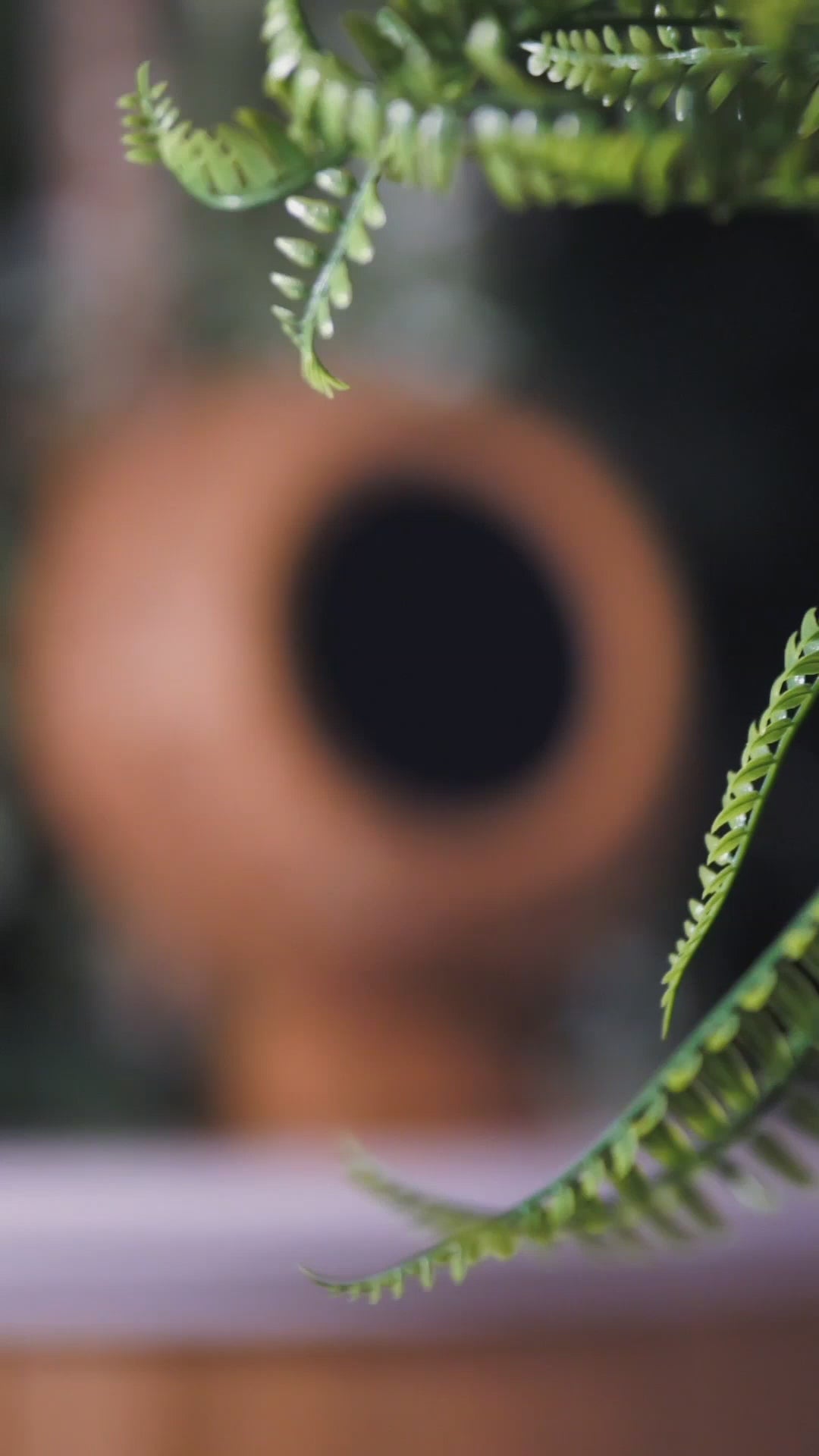 Cocobo coconut bluetooth speaker, lifestyle video