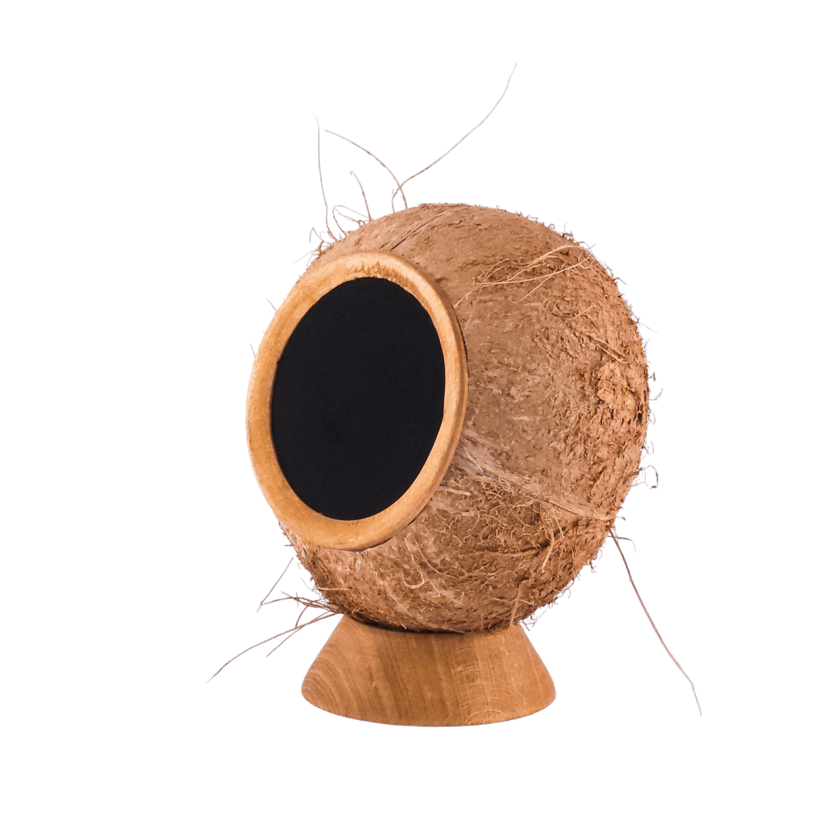 #The_Coconut_Speaker# - #Cocobo#