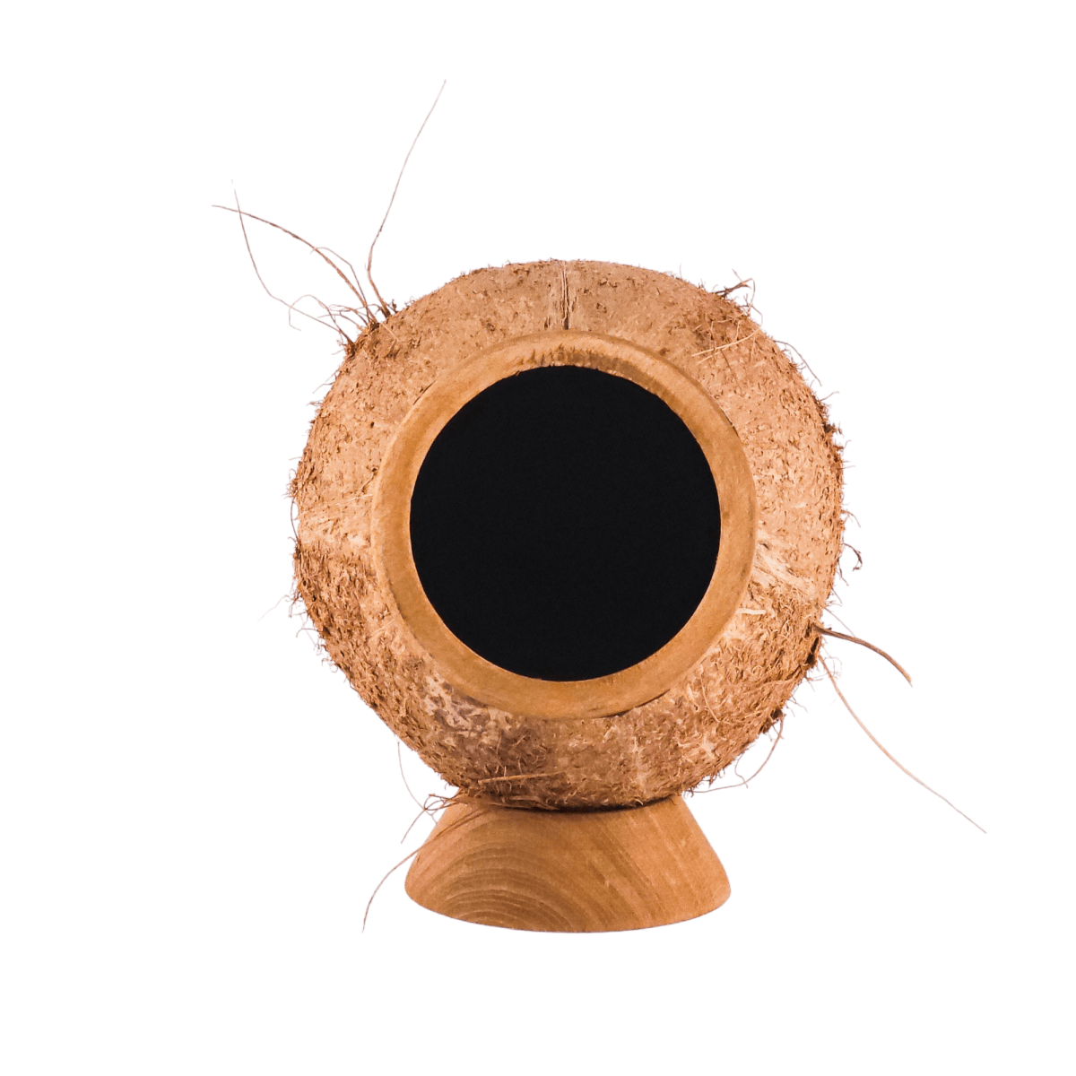 #The_Coconut_Speaker# - #Cocobo#